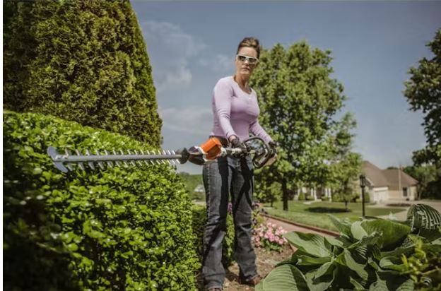 HLA 65 Extended Reach Battery Powered Hedge Trimmer