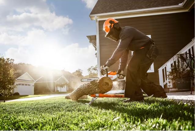 STIHL MSA 120 C-BQ | Cordless Chainsaw