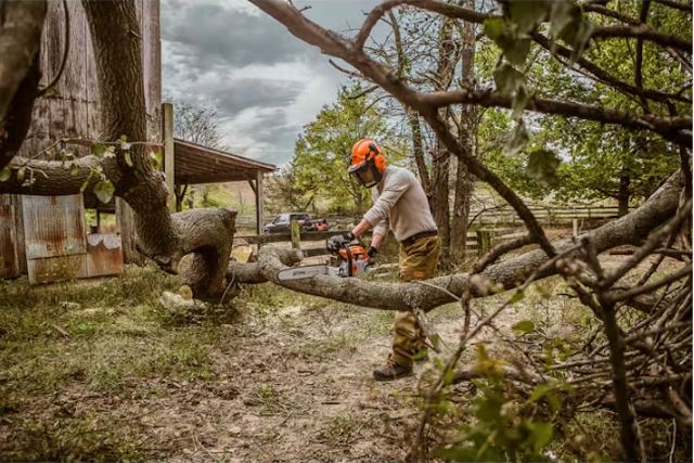 MS 261 C-M Chainsaw with M-Tronic Technology