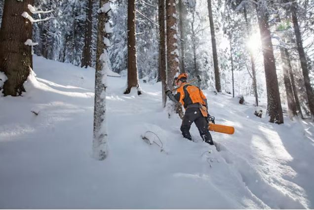 STIHL MS 462 C-M | Professional Saws