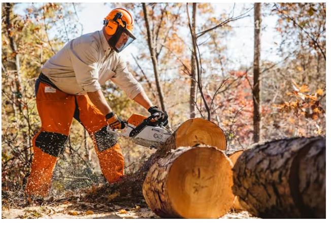 MS 311 Chainsaw - Fuel-Efficient Chainsaws