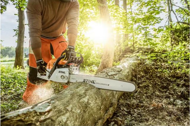 STIHL MS 291 Chainsaw | Fuel Efficient Chainsaws