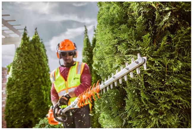 HL 91 K Straight Edge trimmer | Extended Reach Hedge Trimmer