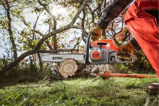 MS 251 C-BE | Powerful Lightweight Adjustable Chainsaw