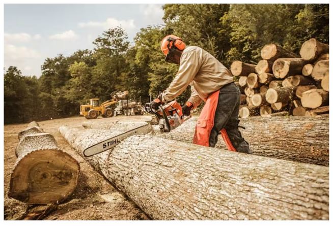 MS 661 C-M Magnum Chainsaw | Fuel-Efficient Professional Chainsaw