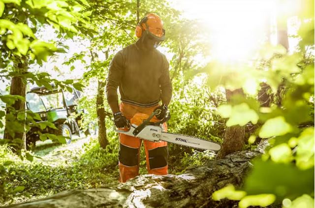 STIHL MS 291 Chainsaw | Fuel Efficient Chainsaws