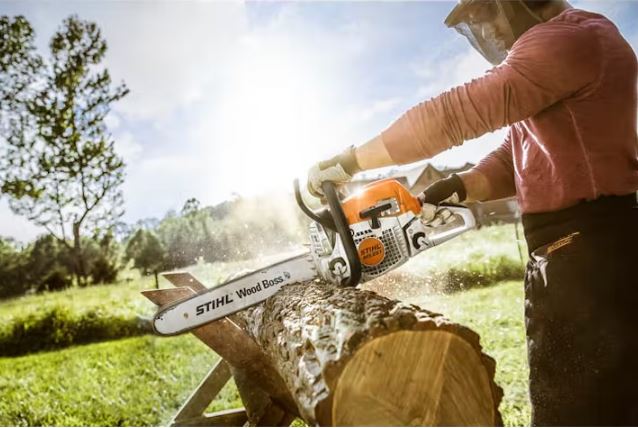 STIHL MS 251 WOOD BOSS Fuel-Efficient Chainsaw