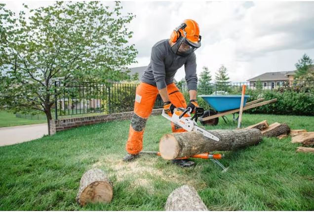 STIHL MSA 120 C-BQ | Cordless Chainsaw