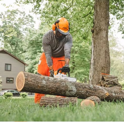 STIHL MSA 220 C-B | Chainsaws