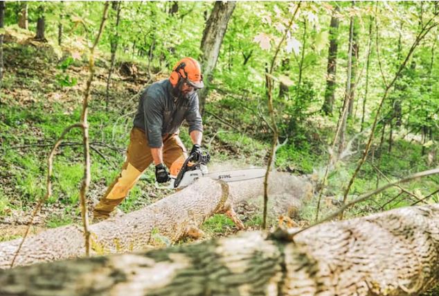 STIHL MS 391 Chainsaw - Fuel - Efficient Chainsaws