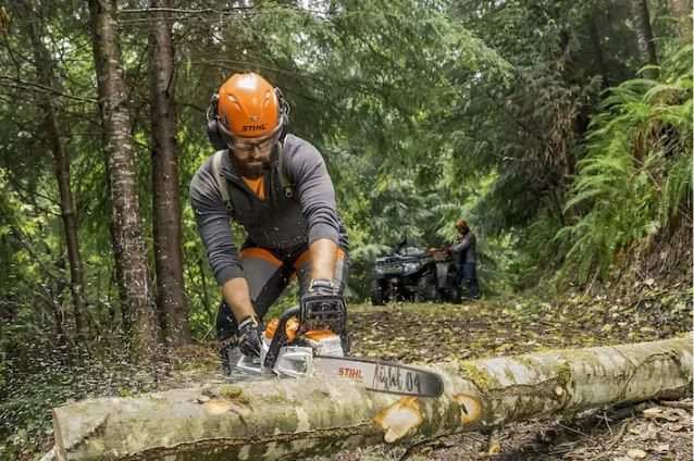 STIHL MSA 300 C-O | Chainsaws