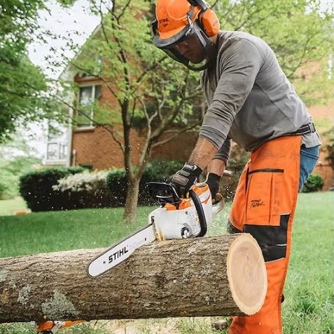 STIHL MSA 220 C-B | Chainsaws