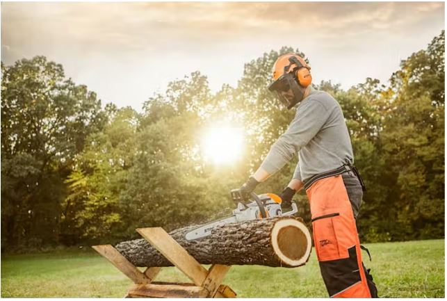 MS 201 C-EM Chainsaw | High Performance, Lightweight Chainsaw