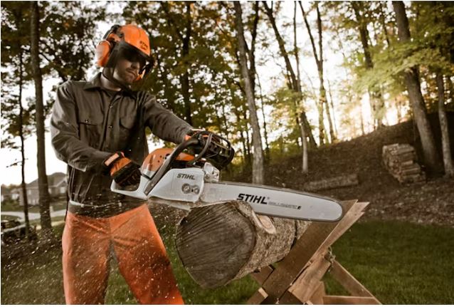 STIHL MS 291 Chainsaw | Fuel Efficient Chainsaws