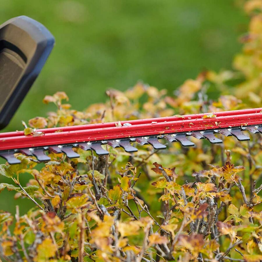 60V MAX* 24 in. (60.96 cm) Hedge Trimmer with 2.0Ah Battery