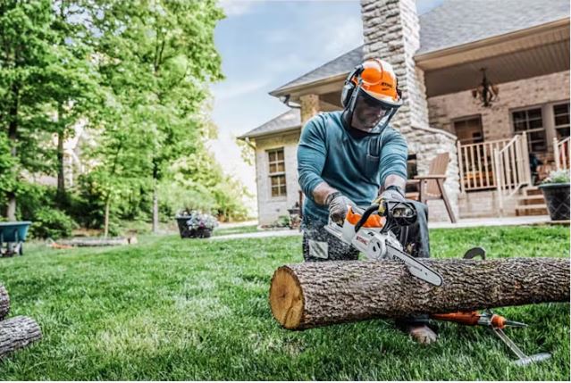 STIHL MSA 120 C-BQ | Cordless Chainsaw