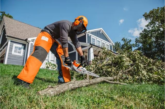 MSA 140 C-BQ | Tree Maintenance Chainsaw